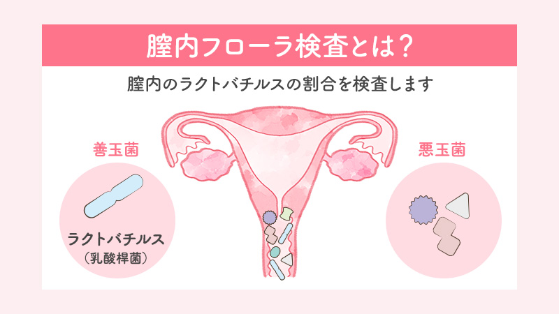 ブライダルチェックの費用と内容